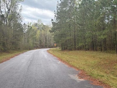 /international/us/lot-6-allison-drive-bainbridge-ga-110098778424/