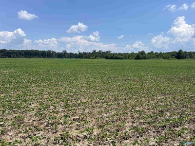 /international/us/90-acres-county-road-125-moulton-al-110101319013/?lang=zh-cn