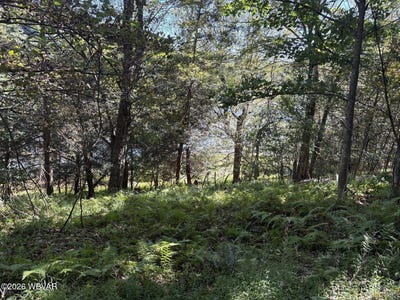 /international/us/parcel-316-lakeside-drive-muncy-valley-pa-110110252605/