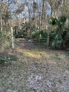 /international/us/275-s-tuck-point-inverness-fl-110082003015/