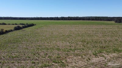 /international/us/5600-block-hwy-97-walnut-hill-fl-110103399887/