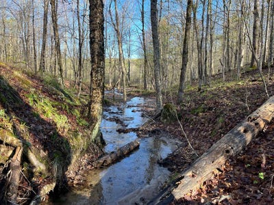 /international/us/00-lafaver-rd-hermon-ny-110105033817/