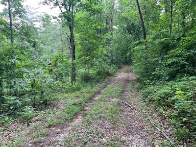 /international/us/0-pine-branch-rd-burkesville-ky-110108355011/