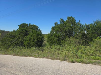 /international/us/mountain-dew-horseshoe-bay-tx-110120154095/