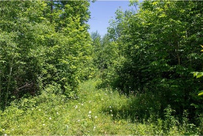 /international/us/0000-n-riverside-road-moose-lake-twp-mn-110100394129/?lang=zh-tw