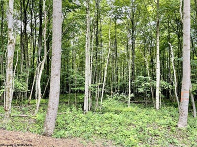 /international/us/4-holleran-heights-kingwood-wv-110107803989/