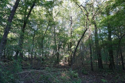 /international/us/6902-stella-st-murchison-tx-110107628569/