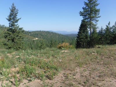 /international/us/moose-ridge-way-lot-5-loon-lake-wa-110119472757/