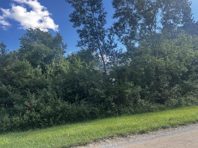 /international/us/w-ranger-road-perrinton-mi-110107241952/