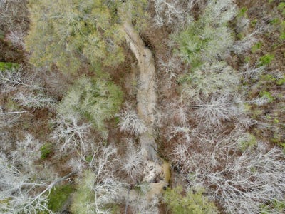 /international/us/marengo-county-rd-15-sweet-water-al-110106270585/