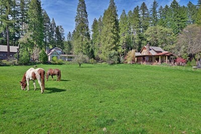/international/us/44335-highway-62-prospect-or-110099480215/