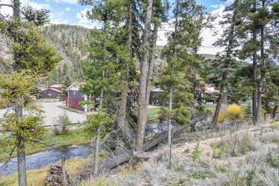 /international/us/powderpuff-lot-10-red-river-nm-110120647502/
