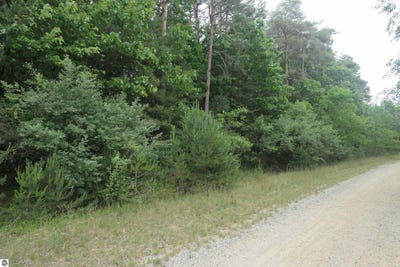 /international/us/merrill-drive-vestaburg-mi-110108721390/