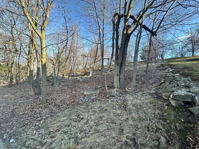 /international/us/vfw-parkway-boston-ma-110106672110/