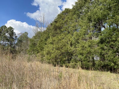 /international/us/0-highway-25-vincent-al-110106272600/
