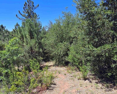 /international/us/smokey-lane-julian-ca-110107302698/