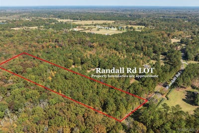/international/us/randall-road-cecil-al-110107780727/