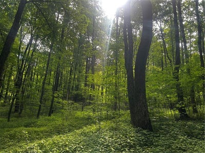 /international/us/ivan-mereness-road-decatur-ny-110109549101/