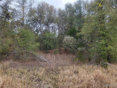 /international/us/pleasant-hill-road-gilbertown-al-110106478296/