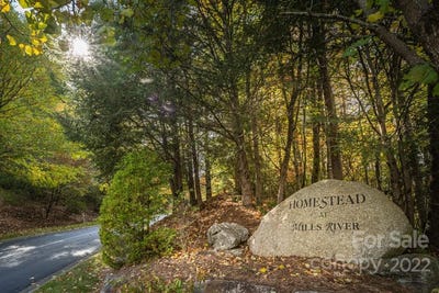 /international/us/99999-shining-rock-path-horse-shoe-nc-110080277953/