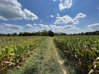 /international/us/4053-halfway-halifax-road-scottsville-ky-110103654675/