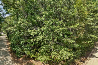 /international/us/andover-drive-barnstead-nh-110102063395/