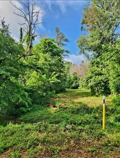 /international/us/n-highway-341-n-lot-246-chickamauga-ga-110110273072/
