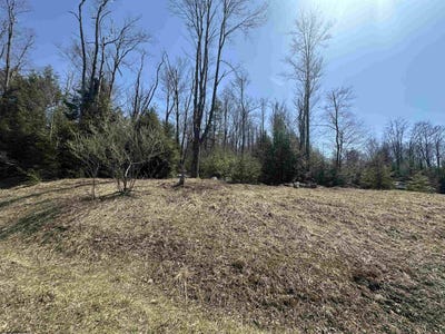 /international/us/florence-court-lot-195-davis-wv-110098916611/