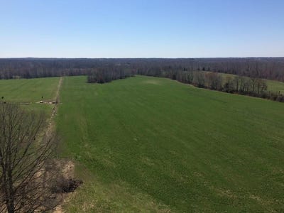 /international/us/sulphur-creek-rd-big-sandy-tn-110107481721/