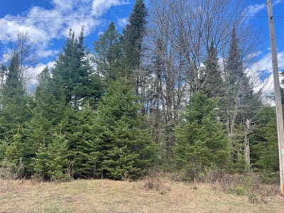 /international/us/on-pociask-rd-butternut-wi-110108011204/