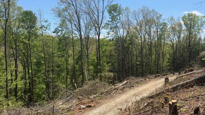 /international/us/victory-falls-road-lot-67-campton-ky-110097105381/