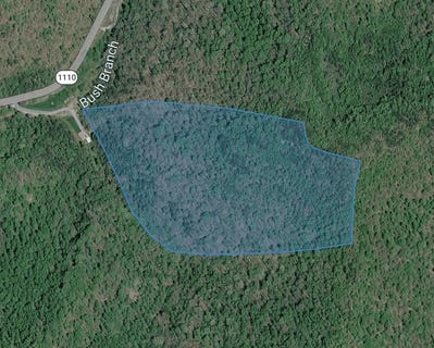 /international/us/bushes-branch-jackson-ky-110106316584/