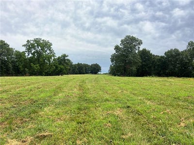 /international/us/tbd-tract-a-horton-road-powell-mo-110100926514/?lang=en