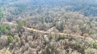 /international/us/brushy-creek-road-rison-ar-110106094829/