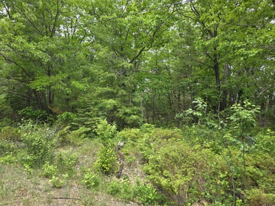 /international/us/balsam-circle-lot-470-471-472-presque-isle-mi-110100336069/