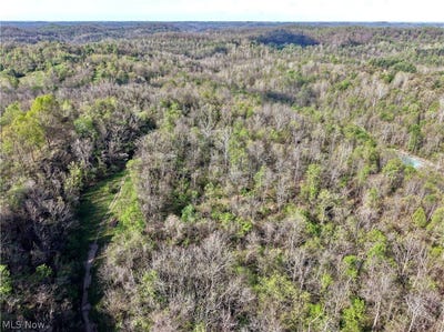 /international/us/harrons-ridge-road-dexter-city-oh-110107552267/