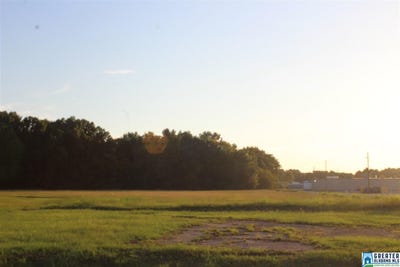/international/us/0-walton-street-columbiana-al-110033638793/
