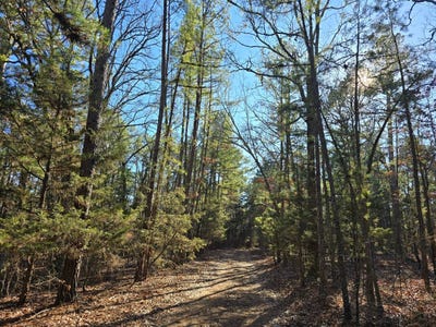 /international/us/505-caney-creek-rd-moyers-ok-110097153849/