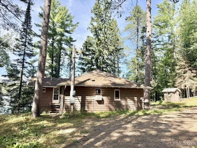 /international/us/131-e-stager-lake-drive-crystal-falls-mi-110110145562/