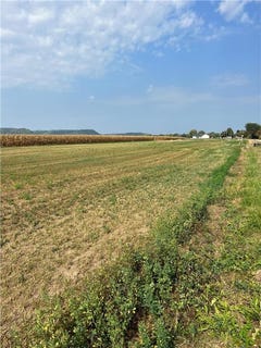 /international/us/1614-river-drive-s-wabasha-mn-110087477617/