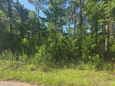 /international/us/winding-way-blvd-lot-442-georgetown-ga-110109083315/