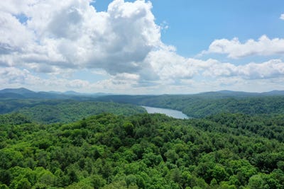 /international/us/tbd-hwy-68-farner-tn-110099990844/?lang=zh-cn