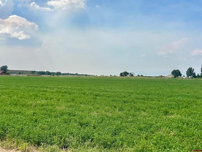 /international/us/tbd-jefferson-road-montrose-co-110100917152/