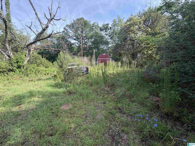 /international/us/6355-grange-forge-road-lot-1-red-level-al-110108722831/