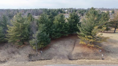 /international/us/worchester-way-lot-59-gladwin-mi-110120063458/