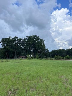 /international/us/lot-5-5th-pl-chiefland-fl-110100780620/
