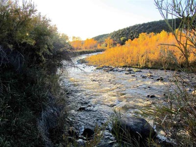 /international/us/tbd-highway-330-collbran-co-110097601666/