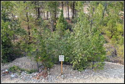 /international/us/mores-creek-dr-lot-58-idaho-city-id-110106764138/