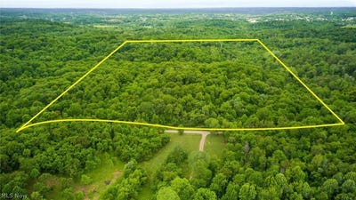 /international/us/granger-hill-road-zanesville-oh-110108297858/