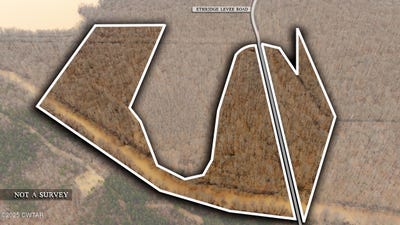 /international/us/0-ethridge-levee-road-greenfield-tn-110097610147/